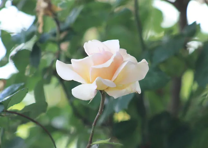 Margalideto ヴィラ サン・ゴーダンス